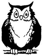 owl 07